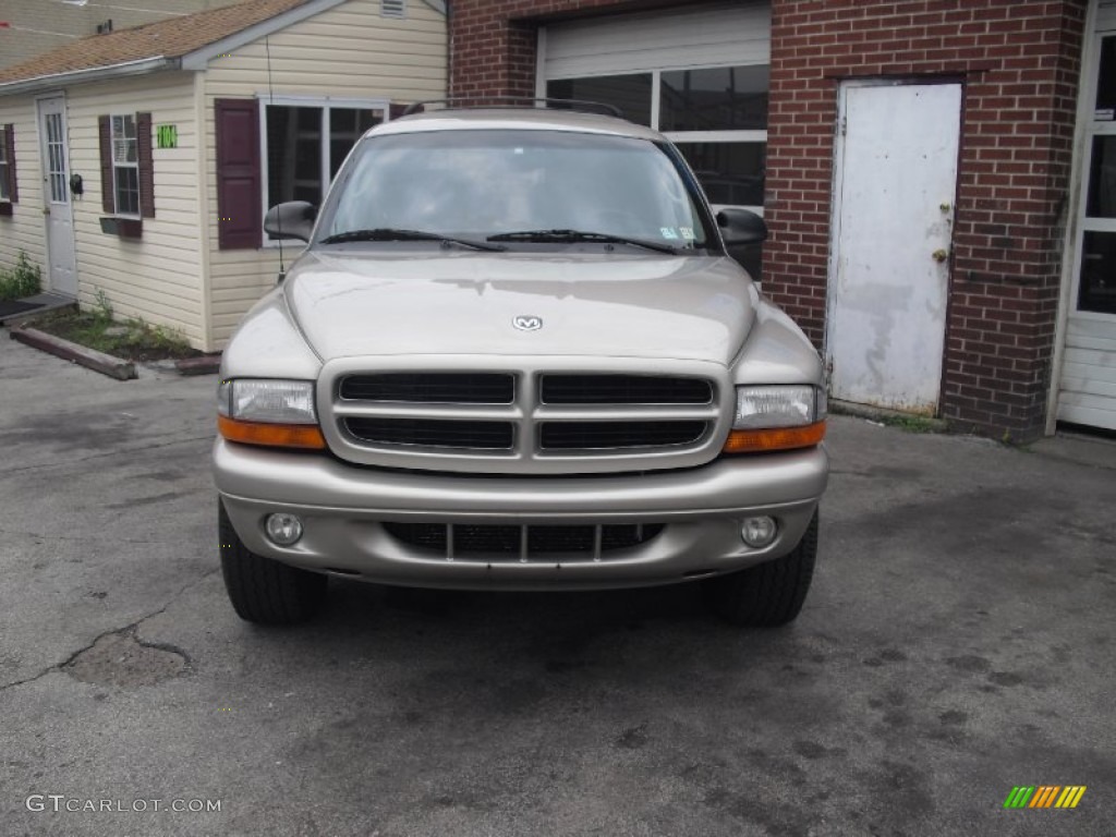 2001 Durango SLT 4x4 - Light Pewter Metallic / Dark Slate Gray/Taupe photo #4