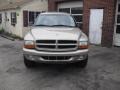 2001 Light Pewter Metallic Dodge Durango SLT 4x4  photo #4