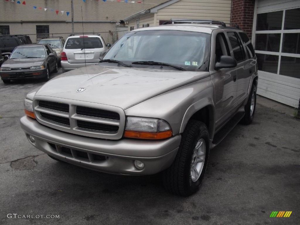 2001 Durango SLT 4x4 - Light Pewter Metallic / Dark Slate Gray/Taupe photo #5