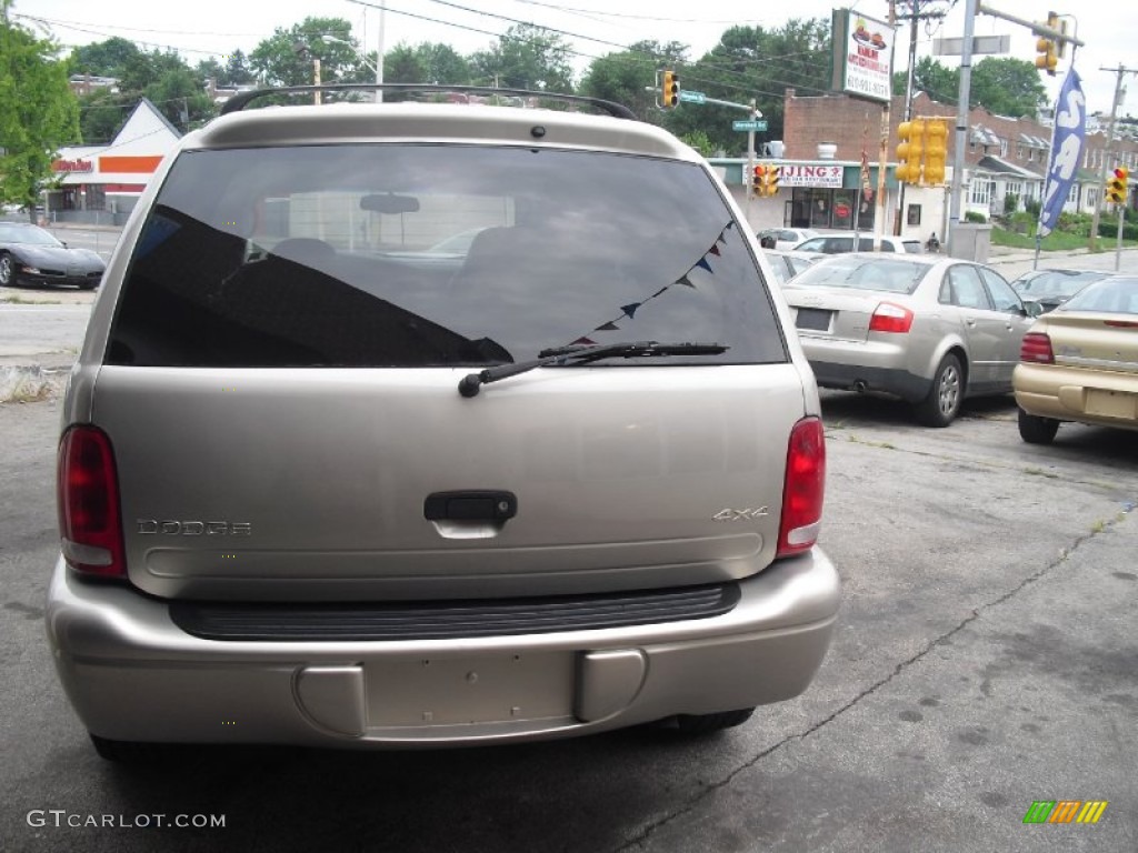 2001 Durango SLT 4x4 - Light Pewter Metallic / Dark Slate Gray/Taupe photo #8