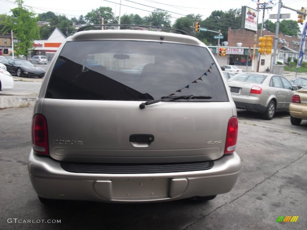 2001 Durango SLT 4x4 - Light Pewter Metallic / Dark Slate Gray/Taupe photo #9