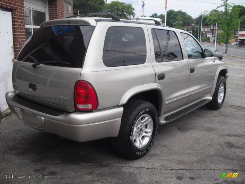 2001 Durango SLT 4x4 - Light Pewter Metallic / Dark Slate Gray/Taupe photo #10