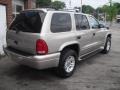 Light Pewter Metallic - Durango SLT 4x4 Photo No. 10