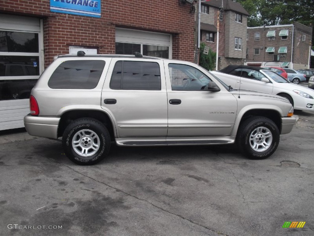 2001 Durango SLT 4x4 - Light Pewter Metallic / Dark Slate Gray/Taupe photo #11