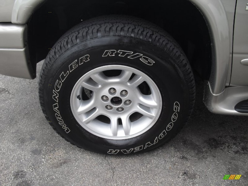 2001 Durango SLT 4x4 - Light Pewter Metallic / Dark Slate Gray/Taupe photo #14