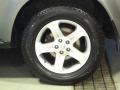 2005 Platinum Metallic Nissan Murano SL AWD  photo #31