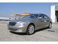 Pewter Metallic - S 550 Sedan Photo No. 5