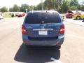 2008 Spark Blue Kia Sorento LX  photo #4