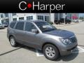 2009 Titanium Silver Kia Borrego LX V6 4x4  photo #1