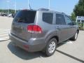 2009 Titanium Silver Kia Borrego LX V6 4x4  photo #8