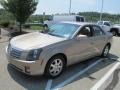 Sand Storm - CTS Sedan Photo No. 5