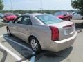Sand Storm - CTS Sedan Photo No. 7