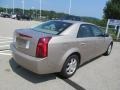 Sand Storm - CTS Sedan Photo No. 9