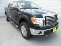 2012 Green Gem Metallic Ford F150 XLT SuperCrew 4x4  photo #1
