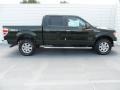 2012 Green Gem Metallic Ford F150 XLT SuperCrew 4x4  photo #2