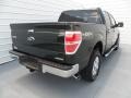 2012 Green Gem Metallic Ford F150 XLT SuperCrew 4x4  photo #3