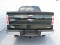 2012 Green Gem Metallic Ford F150 XLT SuperCrew 4x4  photo #4
