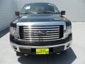 2012 Green Gem Metallic Ford F150 XLT SuperCrew 4x4  photo #7