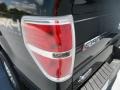 2012 Green Gem Metallic Ford F150 XLT SuperCrew 4x4  photo #12