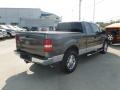 2006 Dark Shadow Grey Metallic Ford F150 XLT SuperCab 4x4  photo #5