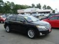 2010 Black Toyota Venza AWD  photo #1