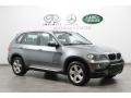 Space Grey Metallic - X5 xDrive30i Photo No. 1