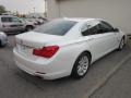 2010 Alpine White BMW 7 Series 750Li xDrive Sedan  photo #2