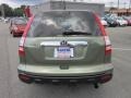 2009 Green Tea Metallic Honda CR-V EX 4WD  photo #6