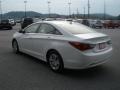 Shimmering White - Sonata GLS Photo No. 9