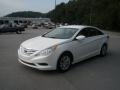 Shimmering White - Sonata GLS Photo No. 11