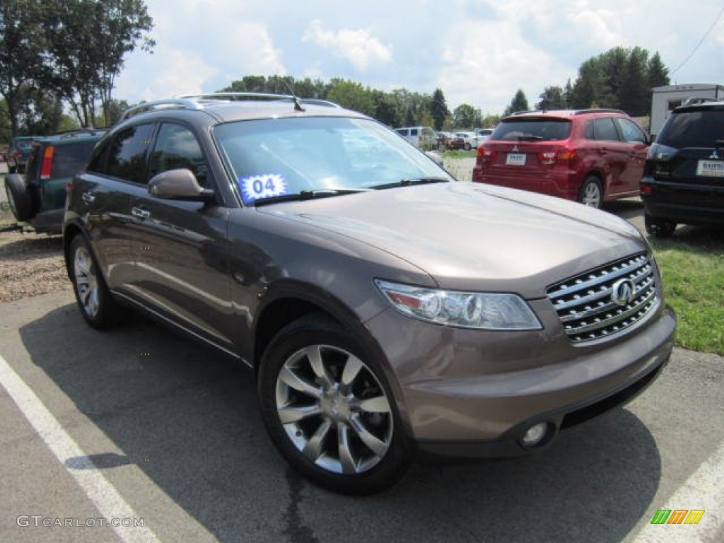 2004 FX 35 AWD - Beryllium 16 Metallic / Black photo #1