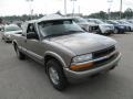 Light Pewter Metallic - S10 LS Extended Cab 4x4 Photo No. 9