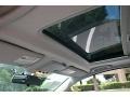 Charcoal/Light Flint Sunroof Photo for 2007 Ford Focus #68780909