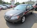Willow Gray - Sonata GLS V6 Photo No. 3