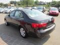 Willow Gray - Sonata GLS V6 Photo No. 4