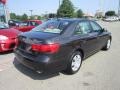 Willow Gray - Sonata GLS V6 Photo No. 6