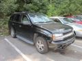 Black - TrailBlazer LS 4x4 Photo No. 1
