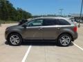 2013 Mineral Gray Metallic Ford Edge SEL EcoBoost  photo #8