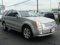 Light Platinum - SRX V8 Photo No. 3