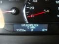 Light Platinum - SRX V8 Photo No. 10