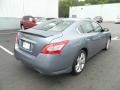 Ocean Gray - Maxima 3.5 SV Photo No. 5