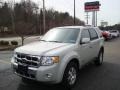 2008 Light Sage Metallic Ford Escape Limited 4WD  photo #1