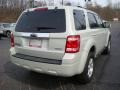2008 Light Sage Metallic Ford Escape Limited 4WD  photo #4
