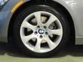 2009 Space Grey Metallic BMW 3 Series 328xi Coupe  photo #30