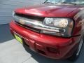 2006 Red Jewel Tint Coat Chevrolet TrailBlazer LS  photo #9