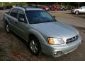 Brilliant Silver Metallic - Baja Sport Photo No. 12