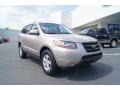 Golden Beige - Santa Fe GLS Photo No. 1