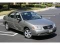 Bronze Shimmer - Sentra 1.8 Photo No. 2