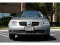 Bronze Shimmer - Sentra 1.8 Photo No. 3