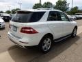 Arctic White - ML 350 4Matic Photo No. 4